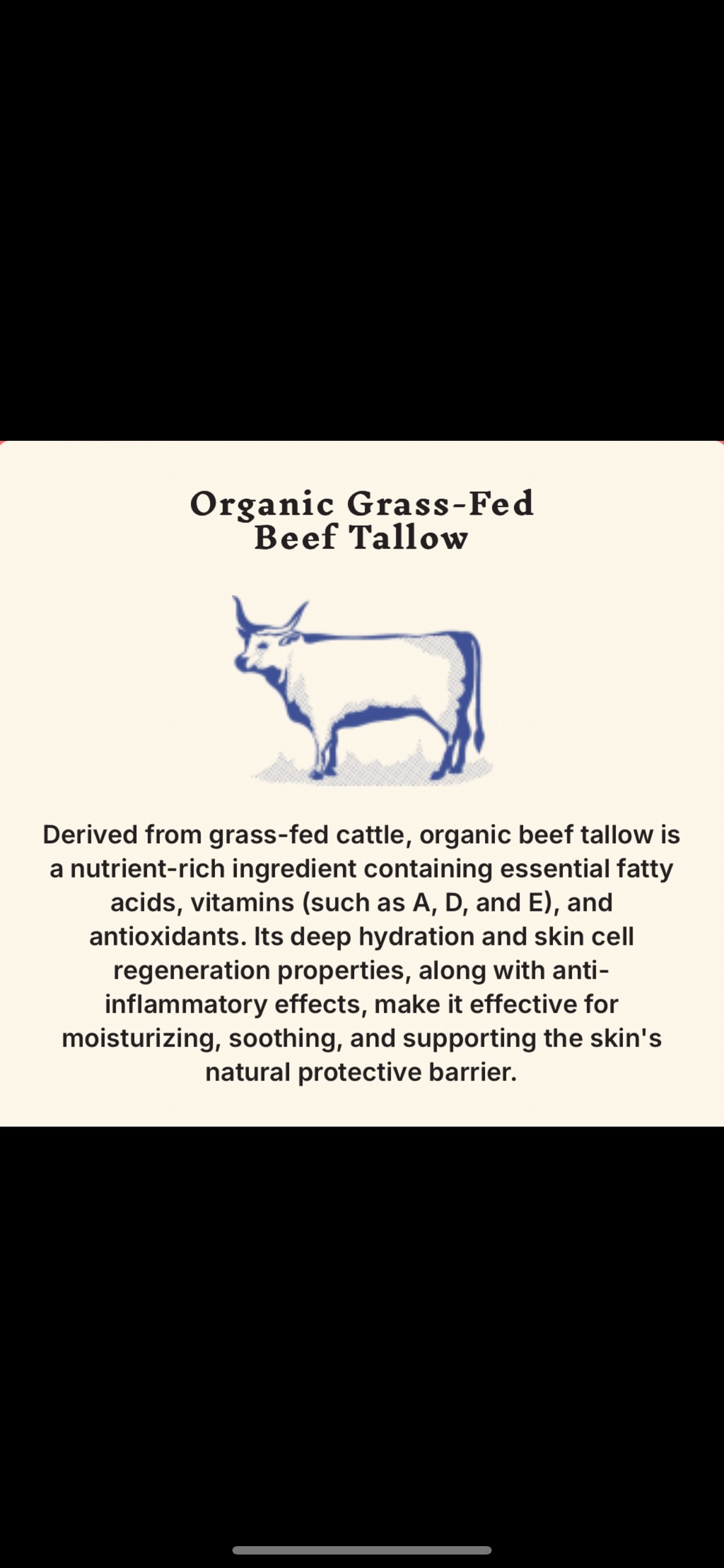 Tallow Recreated Sunscreen