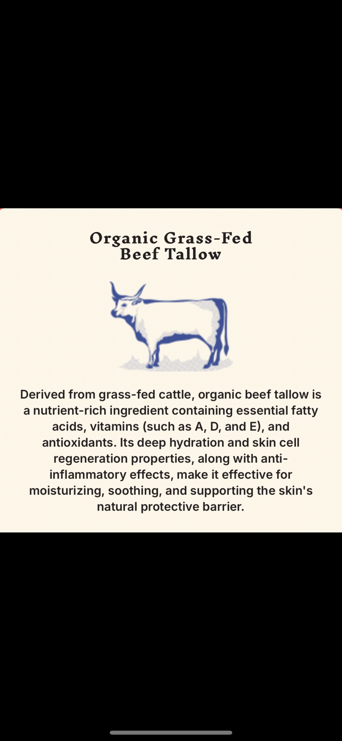 Tallow Recreated Sunscreen