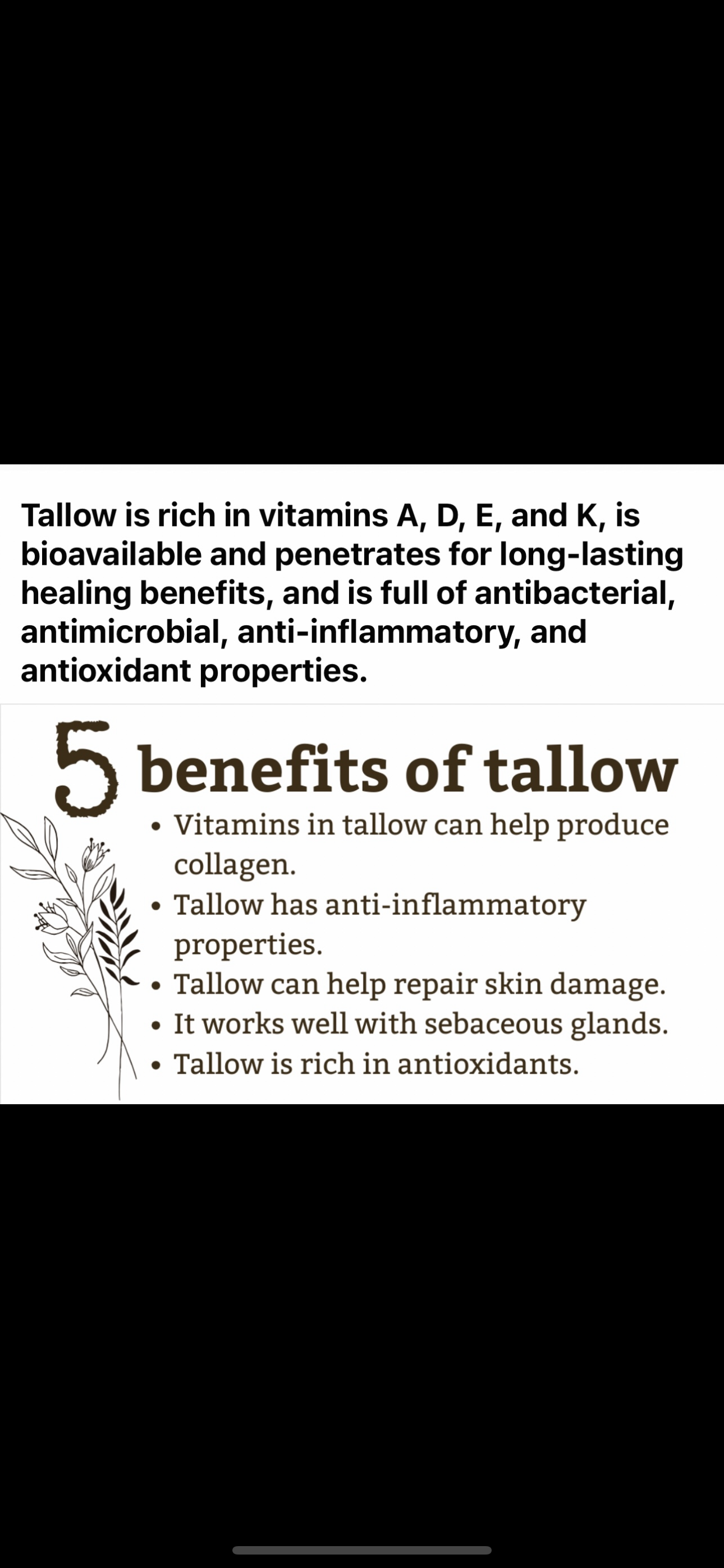 Tallow Recreated Sunscreen